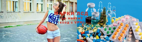 спайс Аркадак