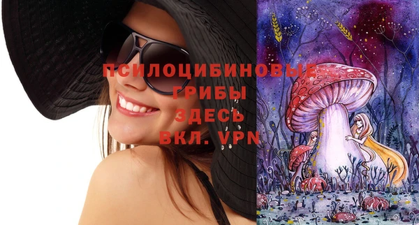 крисы Армянск