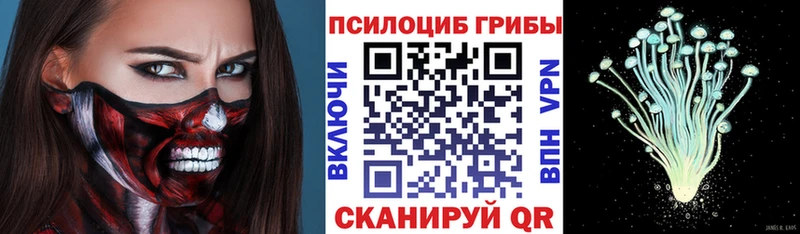 Галлюциногенные грибы Psilocybe  Сретенск 